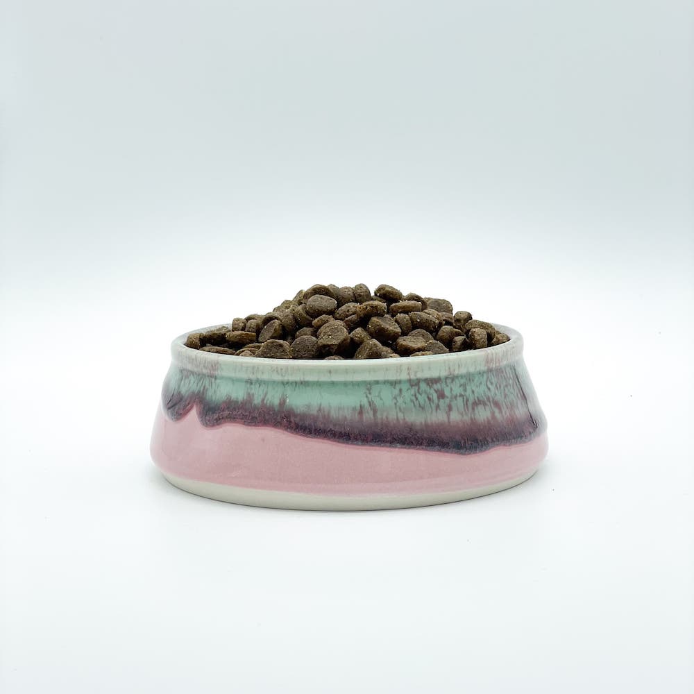 http://www.potteryfortheplanet.com/cdn/shop/products/Pottery-For-The-Planet-Dog-Bowl-7_1200x1200.jpg?v=1613023880